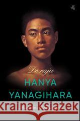 Do raju Hanya Yanagihara 9788383188577 W.A.B. - książka