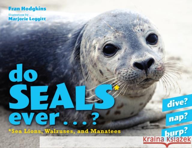 Do Seals Ever . . . ? Fran Hodgkins 9781608934676 Down East Books - książka