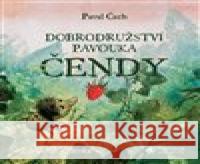 Dobrodružství pavouka Čendy Pavel Čech 8594072274220 Tympanum - książka