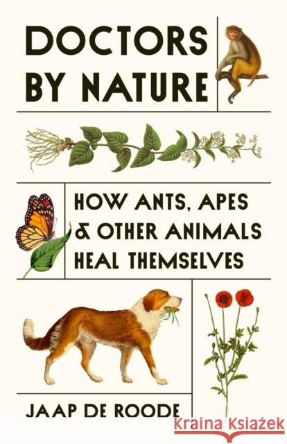 Doctors by Nature: How Ants, Apes, and Other Animals Heal Themselves Jaap de Roode 9780691239248 Princeton University Press - książka