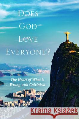 Does God Love Everyone? Jerry L. Walls 9781620325506 Cascade Books - książka