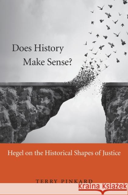 Does History Make Sense? Pinkard 9780674971776 John Wiley & Sons - książka