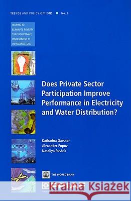Does Private Sector Participation Improve Performance in Electricity and Water Distribution? Katharina Gassner Alexander Popov Nataliya Pushak 9780821377154 World Bank Publications - książka