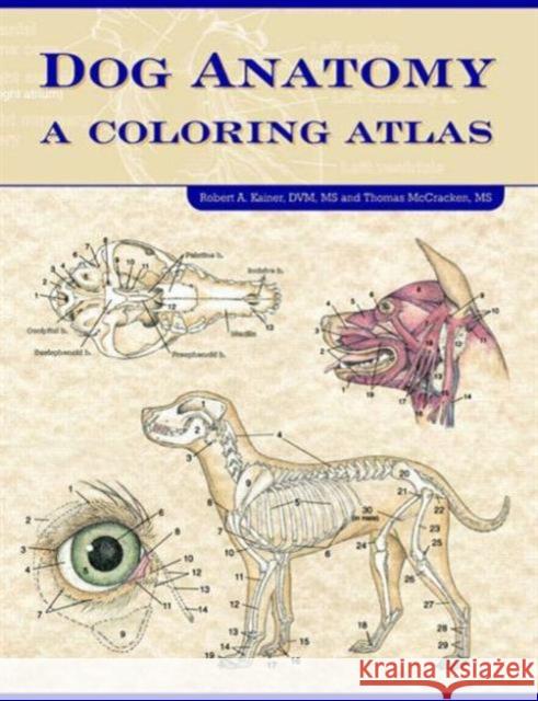 Dog Anatomy : A Coloring Atlas Robert A. Kainer Thomas O. McCracken  9781893441170 Teton NewMedia - książka