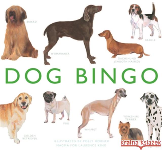 Dog Bingo Polly Horner 9781856699679 Orion Publishing Co - książka