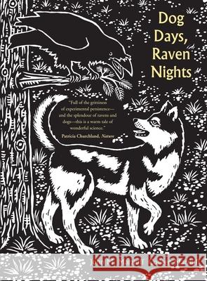 Dog Days, Raven Nights John M Marzluff 9780300192476  - książka