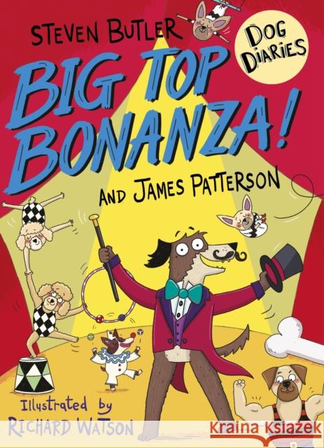 Dog Diaries: Big Top Bonanza! James Patterson 9781529120295 Cornerstone - książka