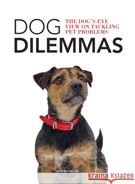 Dog Dilemmas: The Dog's-Eye View on Tackling Pet Problems Sophie Collins 9781781453360 Ammonite Press - książka