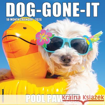 Dog-Gone-It 2026 Wall Calendar Willow Creek Press 9781549250996 Wlcp - książka