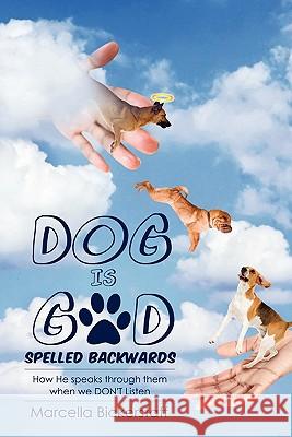 Dog Is God Spelled Backwards Marcella Bickerstaff 9781613791578 Xulon Press - książka