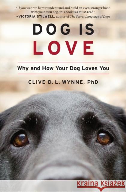 Dog Is Love: Why and How Your Dog Loves You Clive D. L. Wynne 9780358414230 Mariner Books - książka