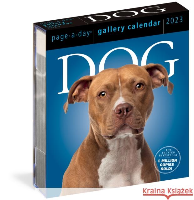 Dog Page-A-Day Gallery Calendar 2023: An Elegant Canine Celebration Workman Calendars 9781523516209 Workman Publishing - książka
