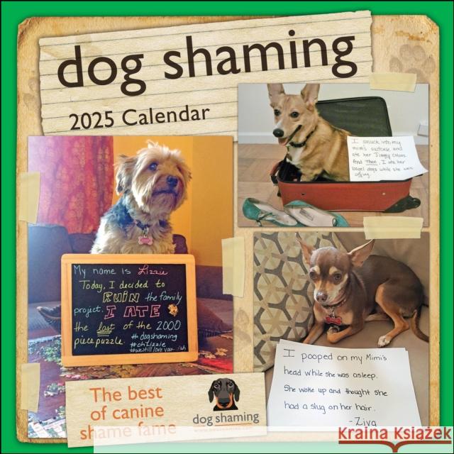 Dog Shaming 2025 Wall Calendar dogshaming.com 9781524890759 Andrews McMeel Publishing - książka