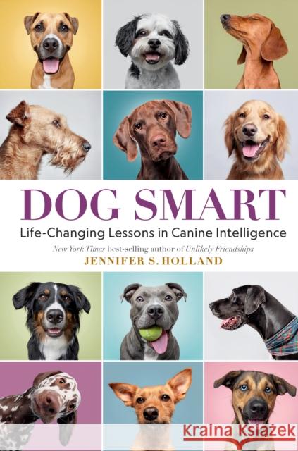 Dog Smart: Life-Changing Lessons in Canine Intelligence Jennifer S. Holland 9781426222719 National Geographic Society - książka