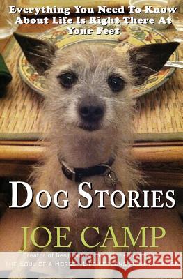 Dog Stories: Everything You Need To Know About Life Is Right There At Your Feet Joe Camp 9781537115481 Createspace Independent Publishing Platform - książka