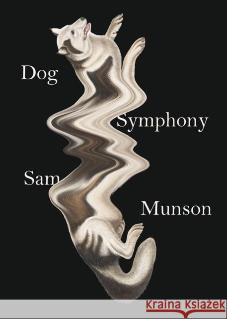 Dog Symphony Sam Munson 9780811227681 New Directions Publishing Corporation - książka