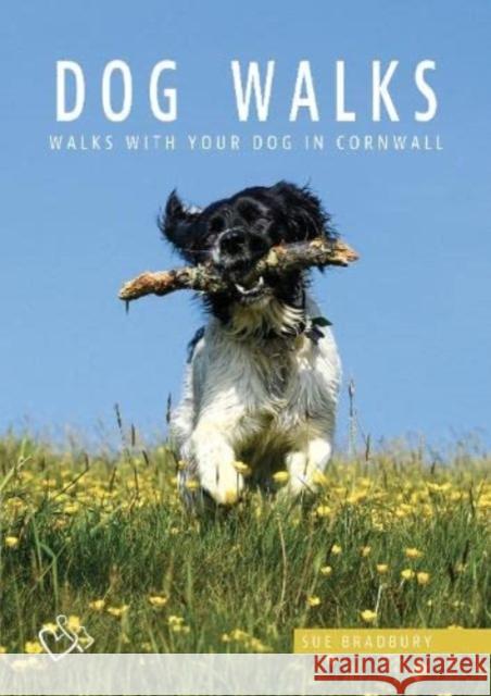 Dog Walks in Cornwall Sue Bradbury 9780850254907 Tor Mark Press - książka