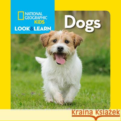 Dogs National Geographic Kids 9781426317057 National Geographic Society - książka