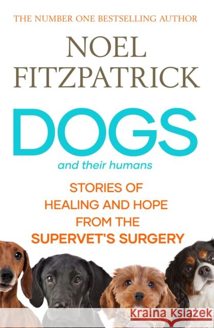 Dogs and Their Humans: Stories of Healing and Hope from the Supervet's Surgery Noel Fitzpatrick 9781398539433 Simon & Schuster Ltd - książka