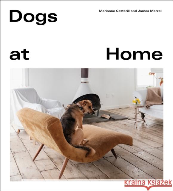 Dogs at Home James Merrell 9781529105094 Ebury Publishing - książka