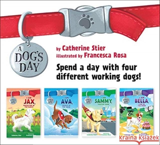 DOGS DAY SET CATHERINE STIER 9780807516768 GLOBAL PUBLISHER SERVICES - książka