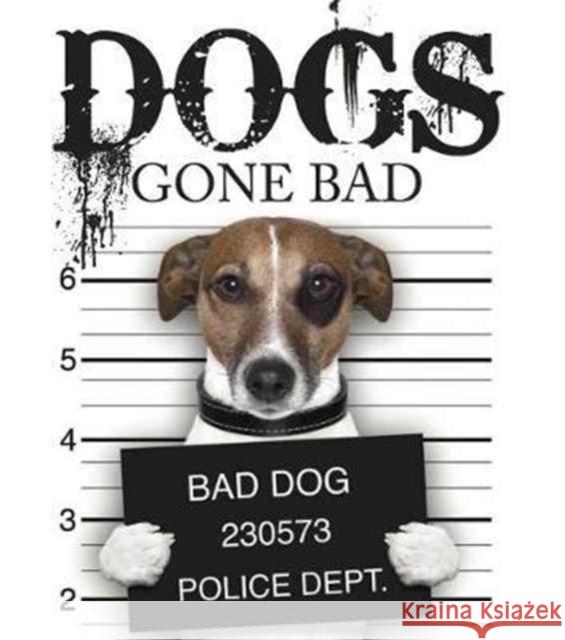 Dogs Gone Bad Russell, Jack 9781782743217  - książka