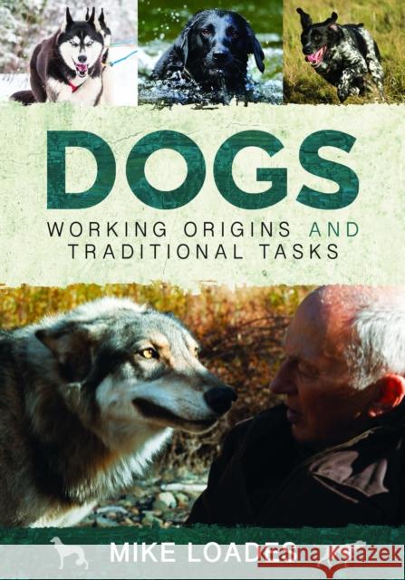 Dogs: Working Origins and Traditional Tasks Mike Loades 9781399078412 Pen & Sword Books Ltd - książka