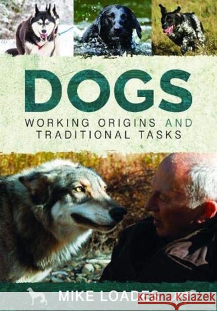 Dogs: Working Origins and Traditional Tasks Mike Loades 9781526742308 White Owl - książka