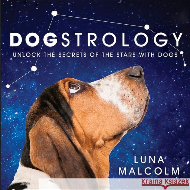 Dogstrology  9781538737132 Grand Central Publishing - książka