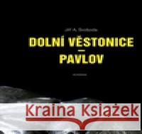 Dolní Věstonice - Pavlov Jiří A. Svoboda 9788020025500 Academia - książka