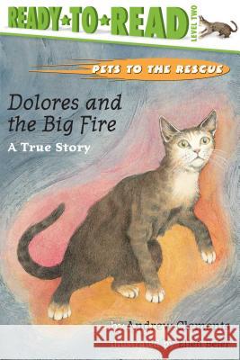 Dolores and the Big Fire: Dolores and the Big Fire (Ready-To-Read Level 1) Clements, Andrew 9780689834400 Aladdin Paperbacks - książka