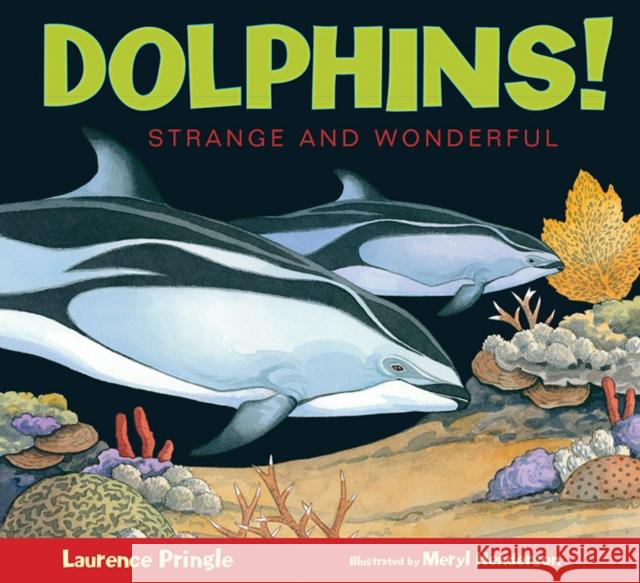 Dolphins! Laurence Pringle Meryl Henderson 9781629796802 Boyds Mills Press - książka