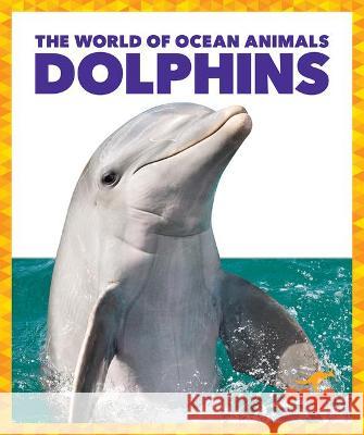 Dolphins Mari C. Schuh 9781636900513 Pogo Books - książka