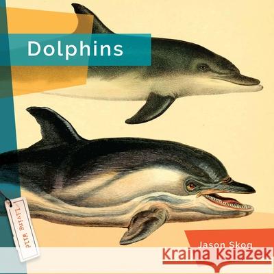 Dolphins Jason Skog 9781682770757 Creative Paperbacks - książka