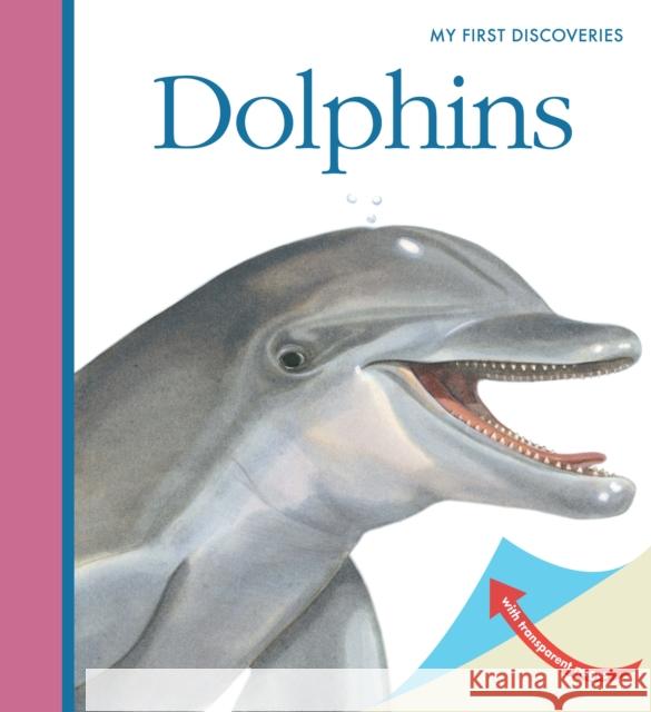 Dolphins Sylvaine Peyrols, Sylvaine Peyrols, Penelope Stanley-Baker 9781851034680 Moonlight Publishing Ltd - książka