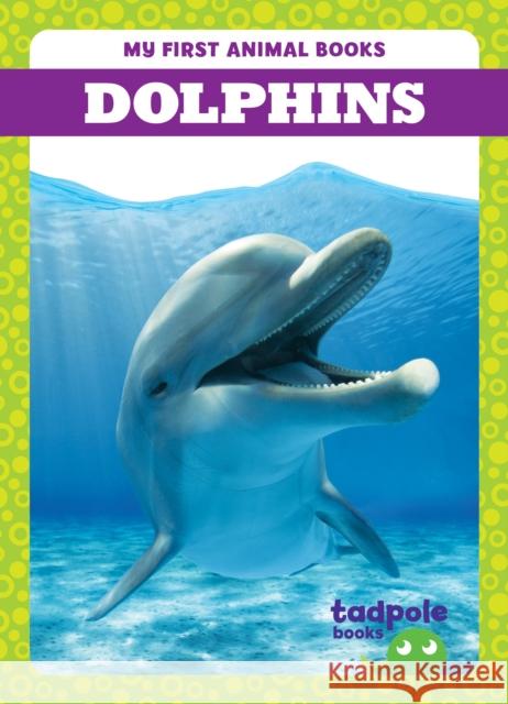 Dolphins Natalie Deniston 9798885246583 Tadpole Books - książka