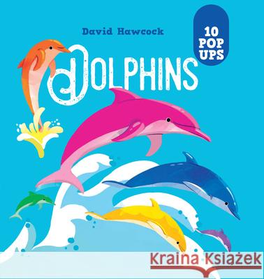 Dolphins: 10 Pop-Ups David Hawcock 9781641244282 Happy Fox Books - książka