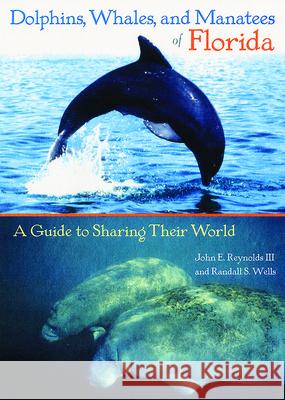Dolphins, Whales, and Manatees of Florida: A Guide to Sharing Their World Reynolds, John E., III 9780813026879 University Press of Florida - książka
