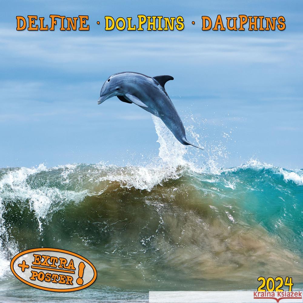 Dolphins/Delfine 2024  9783959293372 Tushita - książka