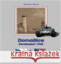 Domažlice Bohuslav Balcar 9788090606241 Resonance - książka