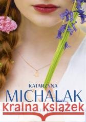 Domek nad potokiem Katarzyna Michalak 9788324099665 JednymSłowem - książka