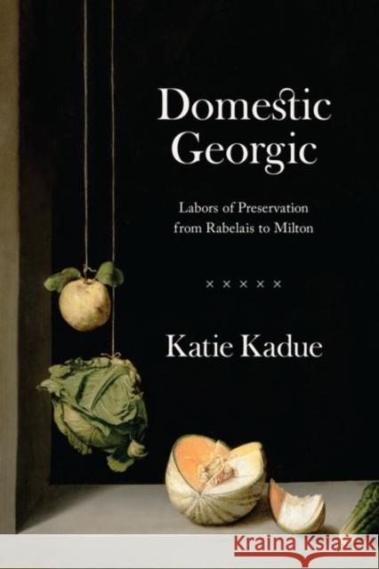 Domestic Georgic: Labors of Preservation from Rabelais to Milton Katie Kadue 9780226797359 University of Chicago Press - książka