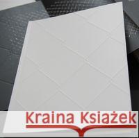 Dominik Lejman Płot - katalog do wystawy  9788361886808 Galeria Miejska Arsenał - książka