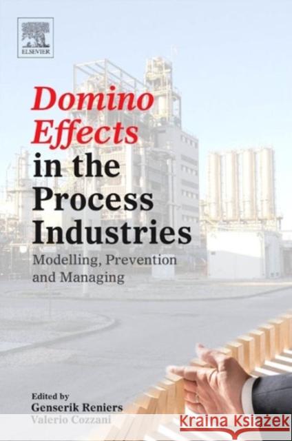 Domino Effects in the Process Industries: Modelling, Prevention and Managing Reniers, Genserik 9780444543233  - książka