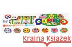 Domino Farma  4823037603312 Technok - książka