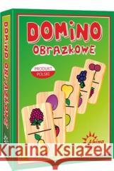 Domino obrazkowe - owoce ABINO  5907438272182 ABINO - książka