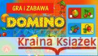 Domino obrazkowe - owoce ALEX  5906018002072 Z.P. Alexander - książka