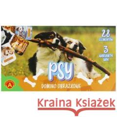 Domino obrazkowe - psy ALEX  5906018027877 Alexander - książka