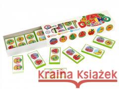 Domino Owoce  4823037603336 Technok - książka