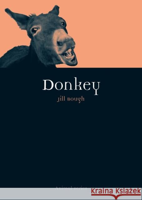 Donkey Jill Bough 9781861898036  - książka